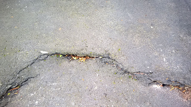 fissure in the asphalt